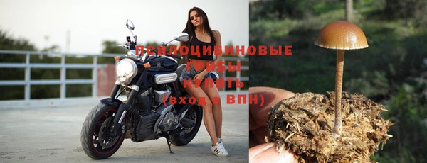 эйфоретик Новокубанск