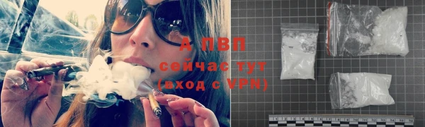 эйфоретик Новокубанск