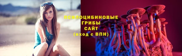 не бодяженный Нязепетровск