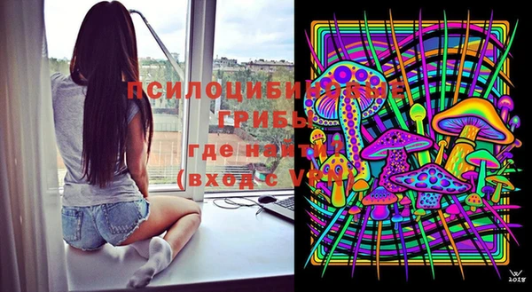 эйфоретик Новокубанск