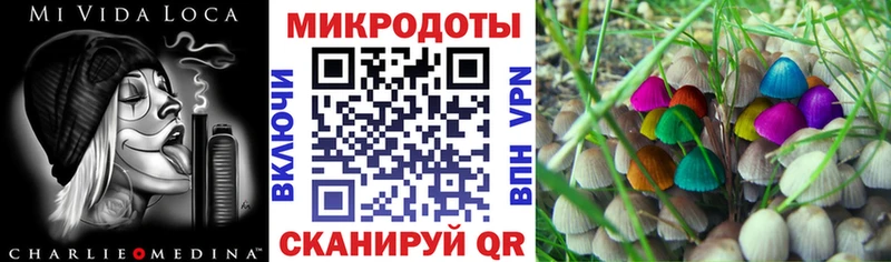 цены наркотик Калач-на-Дону Псилоцибиновые грибы Psilocybe